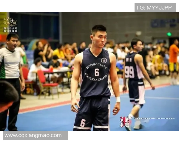 西安羽毛球队快攻战术解析与深度剖析之旅