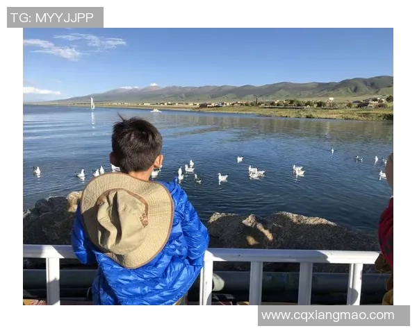 重庆羽毛球队运营分析：成就与挑战并存的竞技之路