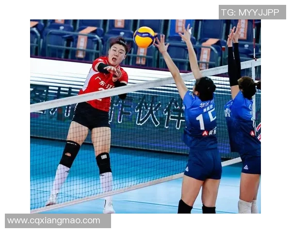 深圳排球队勇闯洲际杯的辉煌之路与奋斗精神的深度解析