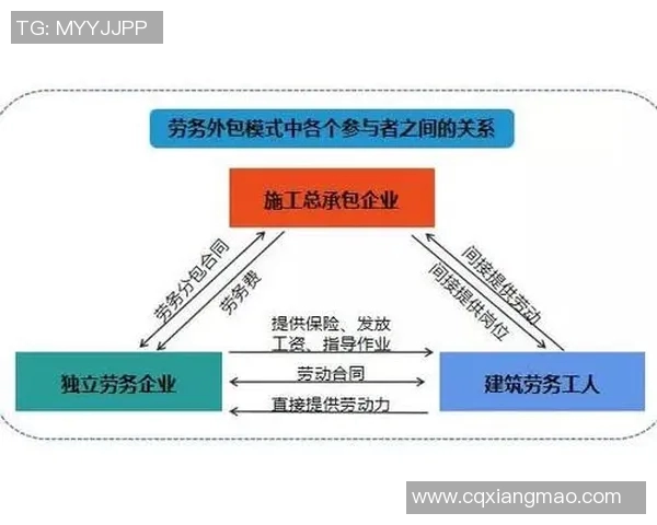 上海篮球队战术解析与球队发展策略的深度探讨