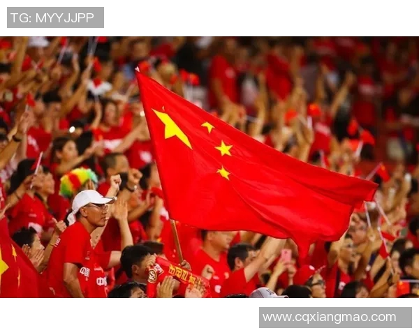 中国足球明星风采与成就全景介绍